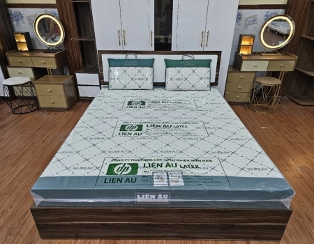 GỐI NẰM LIÊN ÂU LATEX – OVAN 40*60