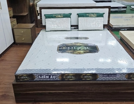 NỆM LIÊN ÂU THIÊN NHIÊN COOL - CLASSIC