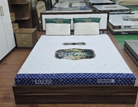 NỆM LIÊN ÂU THIÊN NHIÊN COOL - PLATIUM