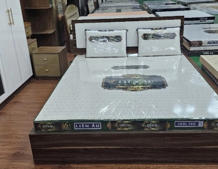 NỆM LIÊN ÂU COOL - PRO