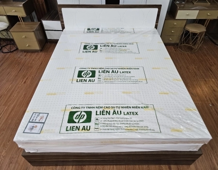 NỆM LIÊN ÂU PLUS LATEX - 2 MẶT TRÒN