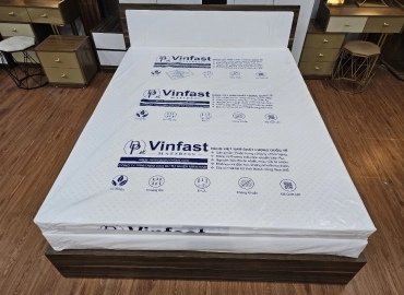 NỆM VINFAST WHITE BLUES