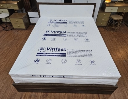NỆM VINFAST WHITE BLUES