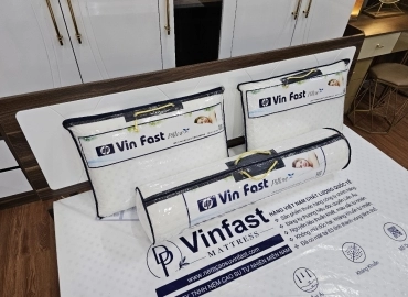 NỆM VINFAST WHITE BLUES